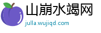 山崩水竭网